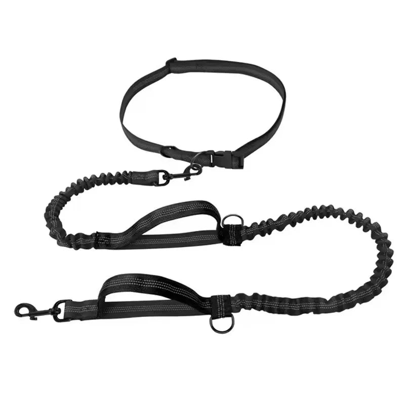 Outdoor Pet Dual Elastic Traction Rope Reflective Running at Night Stretchable Hands-free Dog Dual Handle Elastic Rope