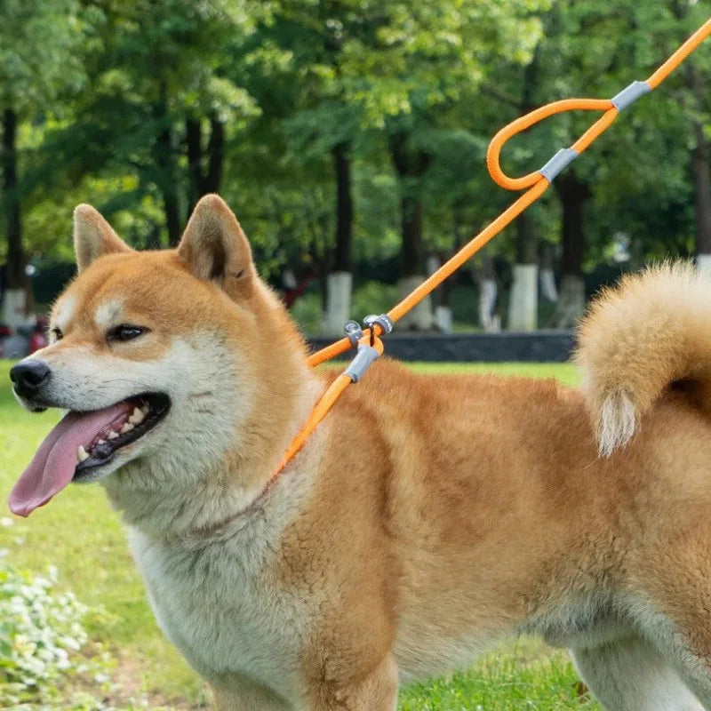 Dog Collar Leash Slip Chains Leads Strong Double Handle Nylon Rope No Pull Pet Training Leash Medium Dogs Puppy Traction Rope