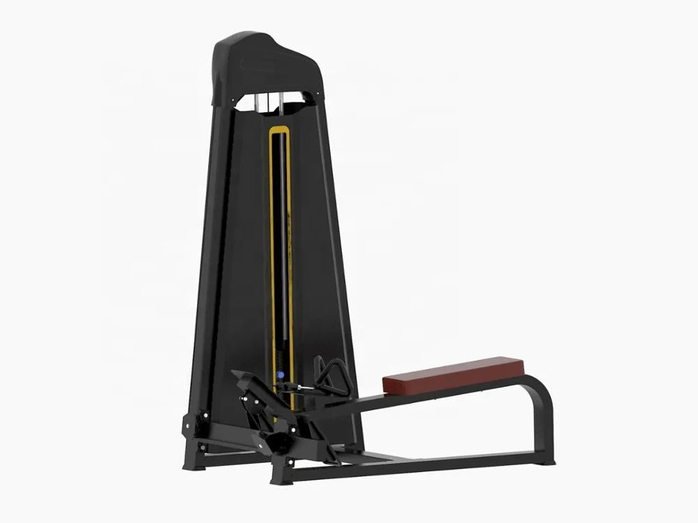 Fitness Equipment Commercial Gym Equipment Ac Long Pull Machine