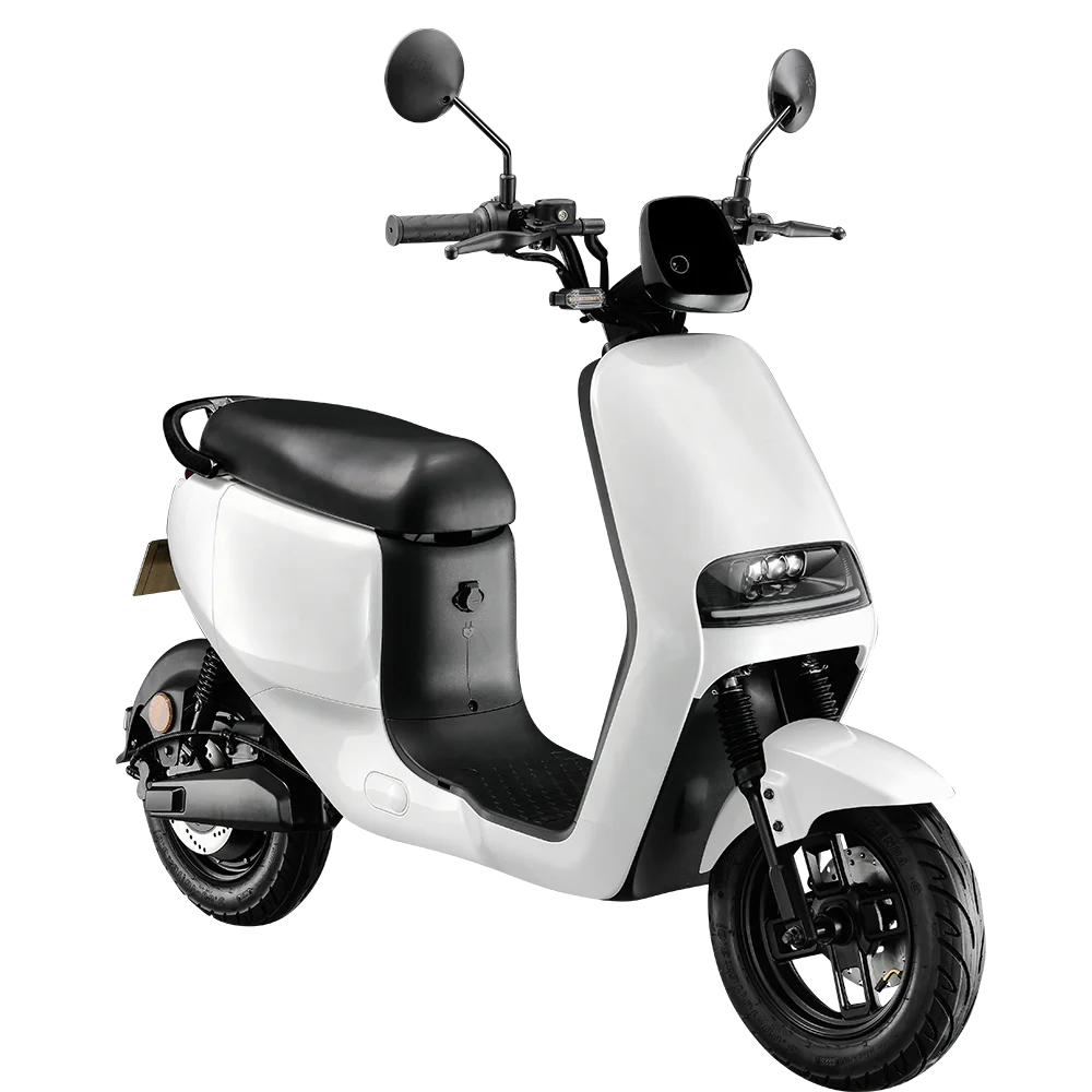 Trendy City Electric Scooter With 2000W Motor, EEC COC Certified, 10-inch Wheels, Removable Battery, 2-wheel Modern