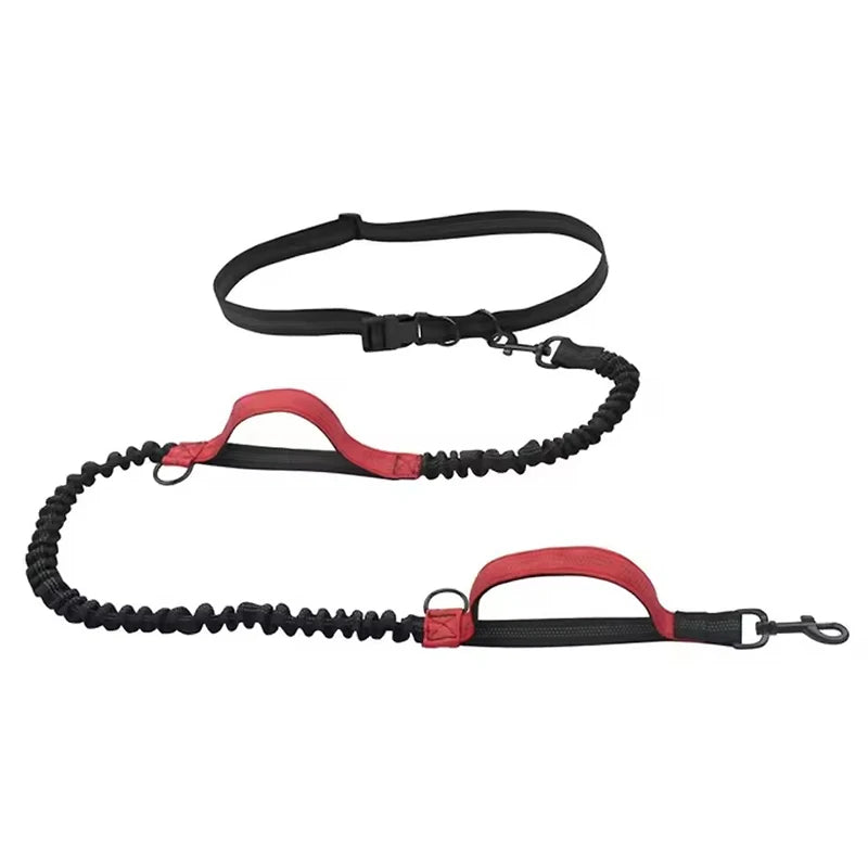 Outdoor Pet Dual Elastic Traction Rope Reflective Running at Night Stretchable Hands-free Dog Dual Handle Elastic Rope