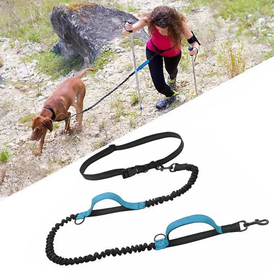 Outdoor Pet Dual Elastic Traction Rope Reflective Running at Night Stretchable Hands-free Dog Dual Handle Elastic Rope