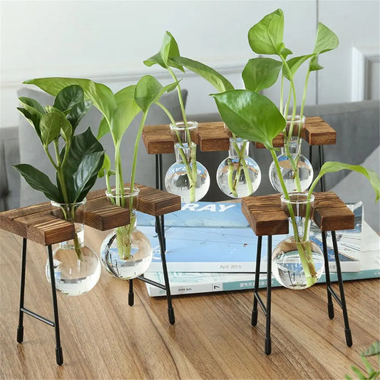 Vintage Bonsai Flower Pot Hydroponic Plant Vases Glass Vase Terrarium Tabletop Tray Wooden Frame Home Decor