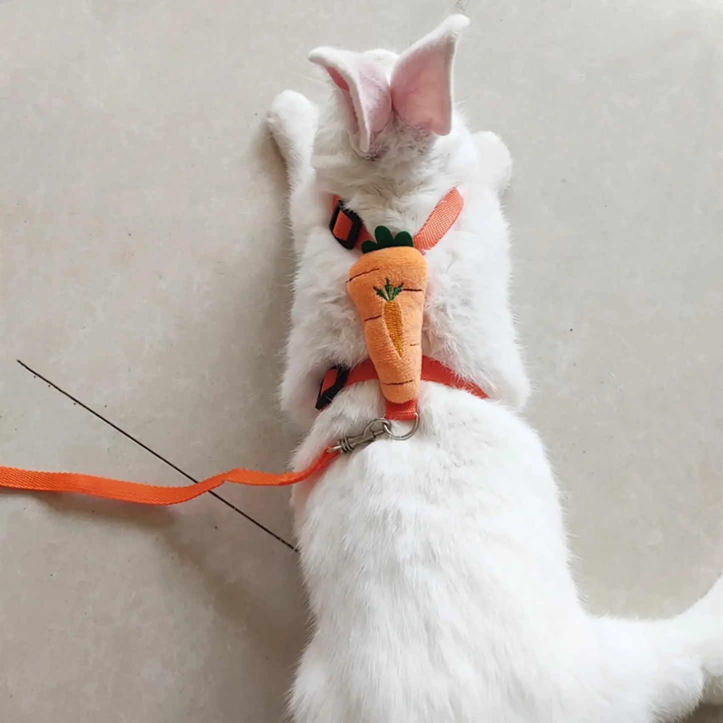 Adjustable Anti Loosening Traction Rope for Pet Walking