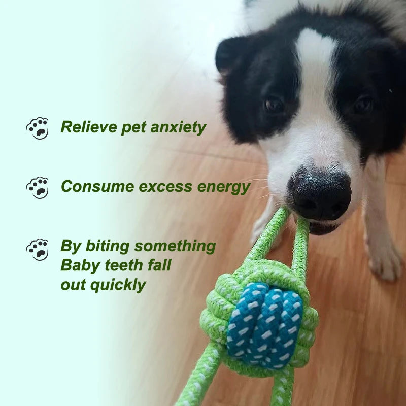 Pet Interactive Cotton Rope Mini Dog Toys Teeth Grinding Cleaning Chewing Puppy Toys Dog Training Toys Pet Supplies