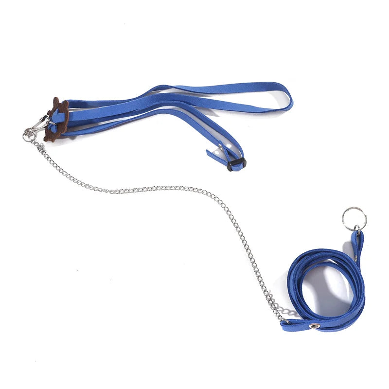 Pet Turtle Traction Rope Safety Belt Portable Outdoor Traction Belt Multifunctional Training Rope Small Pet Supplies