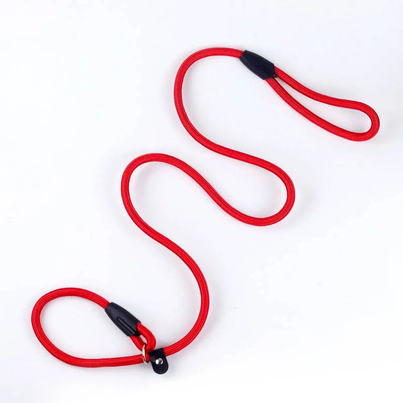 Dog Leash Slip Chains Collar Leads Strong Heavy Duty Nylon Rope No Pull Pet Training Leash for Small Dogs Puppy Traction Rope