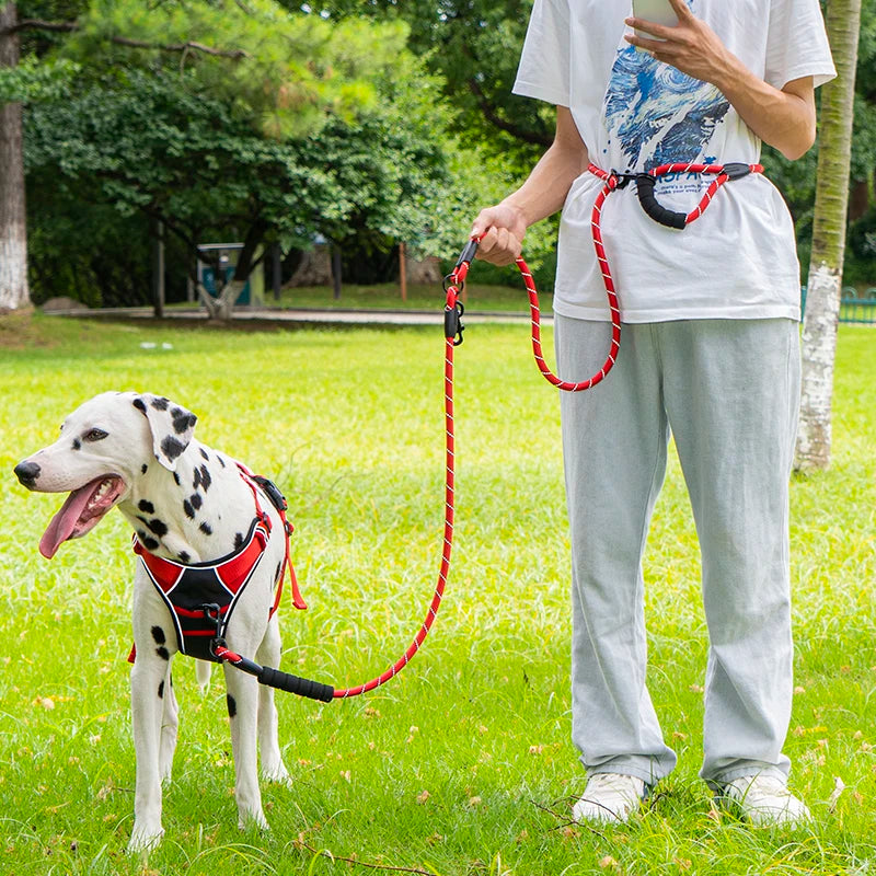 Pet Sling Rope Dog Leash 7.8ft Long with Padded Handle,Heavy Duty,for Control Safety Training | Leashes for Large Dogs or Medium