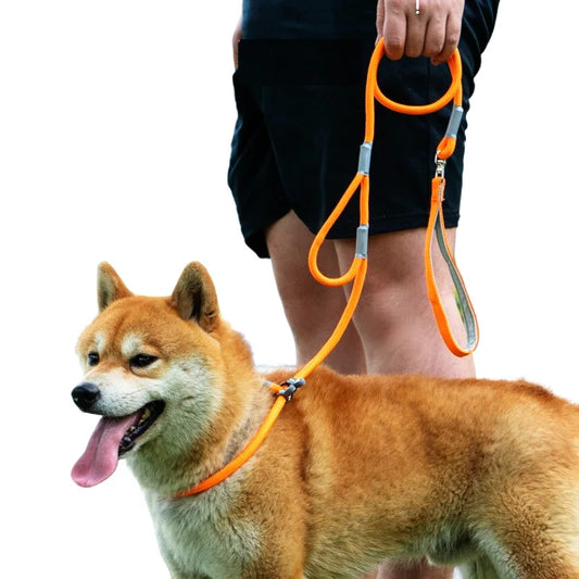 Dog Collar Leash Slip Chains Leads Strong Double Handle Nylon Rope No Pull Pet Training Leash Medium Dogs Puppy Traction Rope