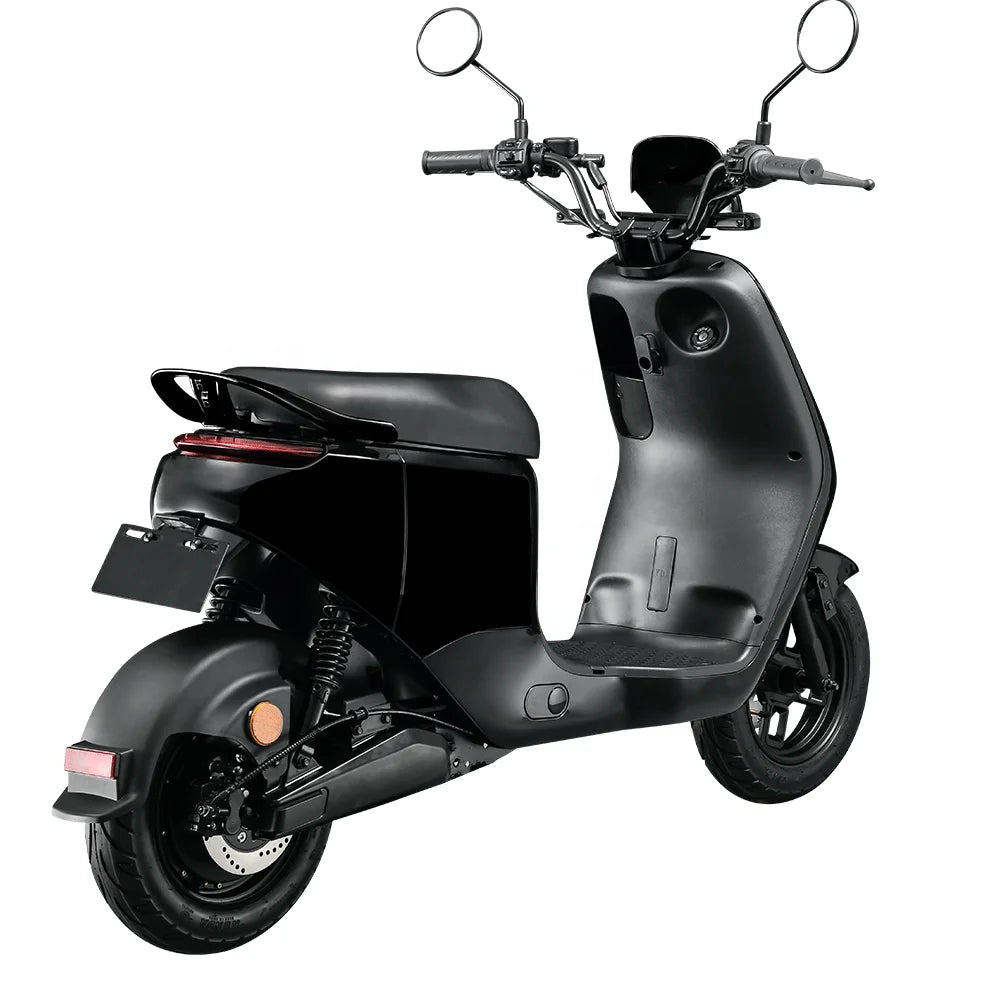 Trendy City Electric Scooter With 2000W Motor, EEC COC Certified, 10-inch Wheels, Removable Battery, 2-wheel Modern