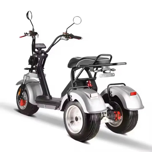 Clark is hot selling Unisex 3-Wheel Electric Tricycle Citycoco EEC Approved Electric Dirt Bike Scooter and Motorcycle 2000w Powe