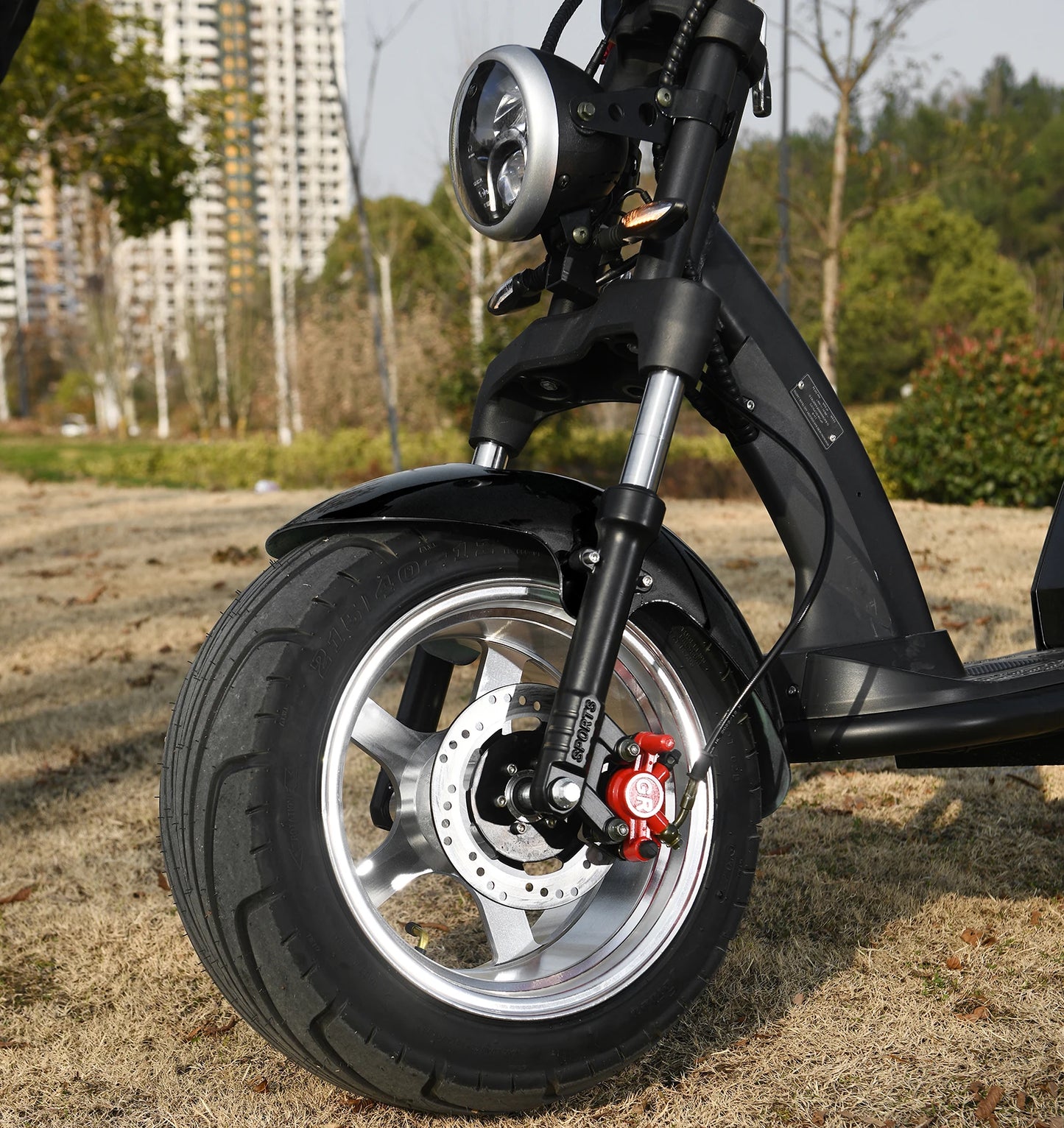Adult Electric Motorcycle 3000W Motor Max Speed 70 KM/H 18 Inch Fat Tire  60V30AH Mileage 60-80KM  2 Wheel E Scooter