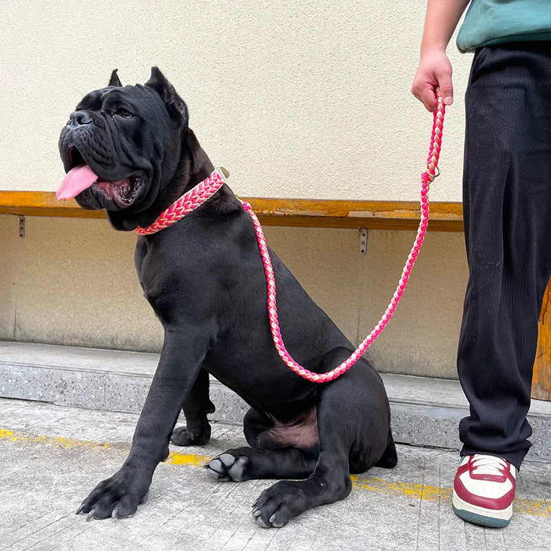 Loudik Wholesale New Dog Walking Rope Handwoven Collar Pet Leash Collar Medium and Large Dog Pet Supplies Puppy Accessories
