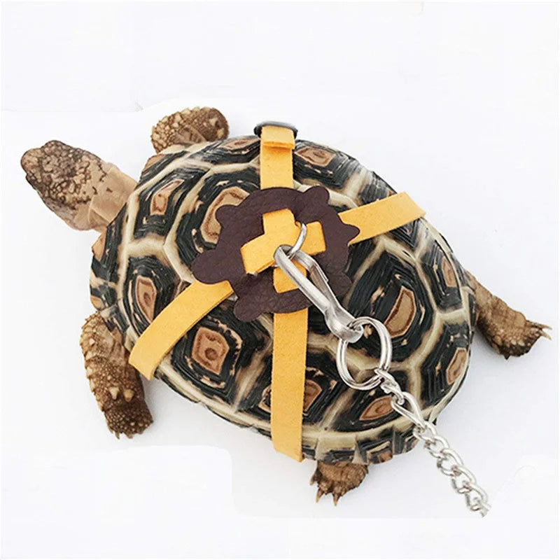 Pet Turtle Traction Rope Safety Belt Portable Outdoor Traction Belt Multifunctional Training Rope Small Pet Supplies