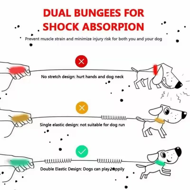 Outdoor Pet Dual Elastic Traction Rope Reflective Running at Night Stretchable Hands-free Dog Dual Handle Elastic Rope